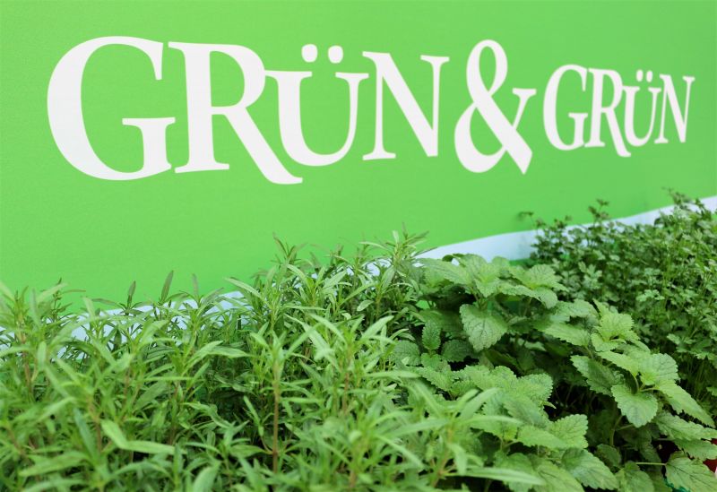 Auf der Messe gibt es frische Küchenkräuter von Grün und Grün.