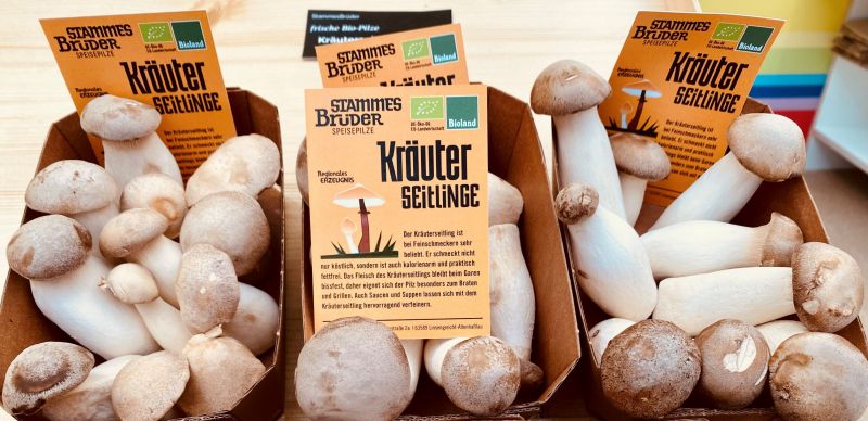 Die Bio-Pilze des Inklusionsbetriebs Grün und Grün sind sehr beliebt.